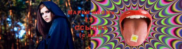 прущая мука Каменногорск