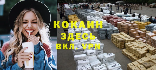 МДПВ Каменка