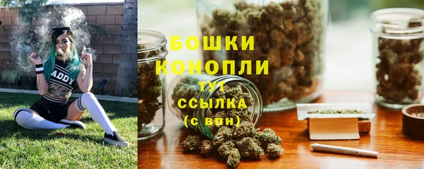 МДПВ Каменка
