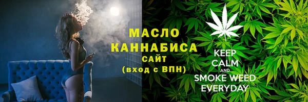 МДПВ Каменка