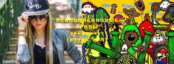 таблы Инсар